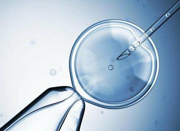 试管自然周期未排卵是否可以移植胚胎吗