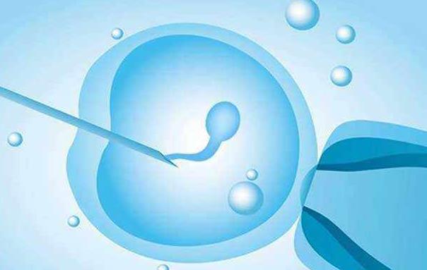 试管婴儿促排卵针的疗效有多大促排卵针的作用与功效
