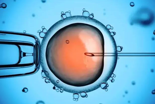 兰州的三代试管婴儿选胚胎等级是多少级最好呢