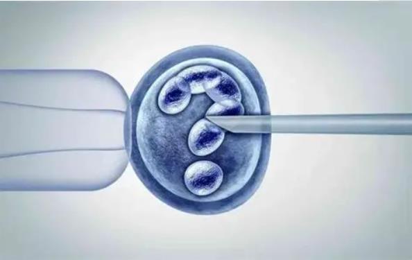为什么二代试管养囊成功率低，试管婴儿移植几个胚胎成功率高