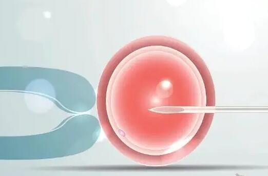 48岁在国内哪里的私立医院卵子成功率可以达到100%
