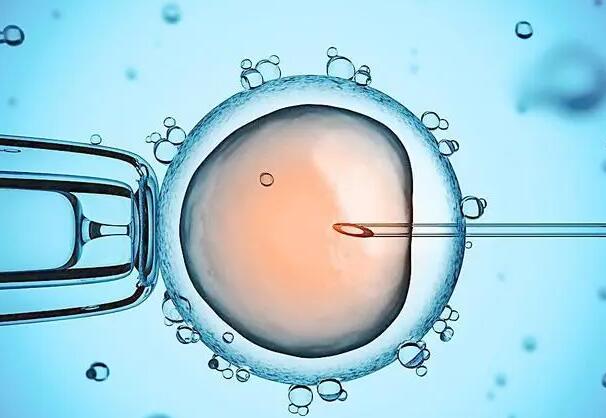泰国试管胚胎筛查费用解读基因检测费大概需要1万元左右