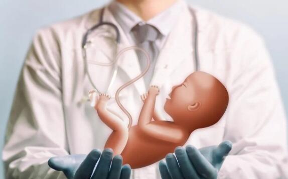 试管婴儿怀孕的胎盘能吃吗