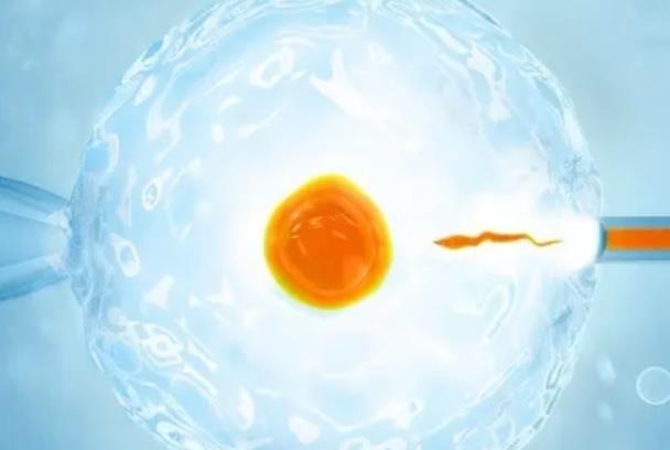 试管卵巢功能不好达菲林降调症状治疗方法及预防